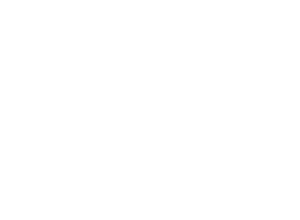 logo_linze